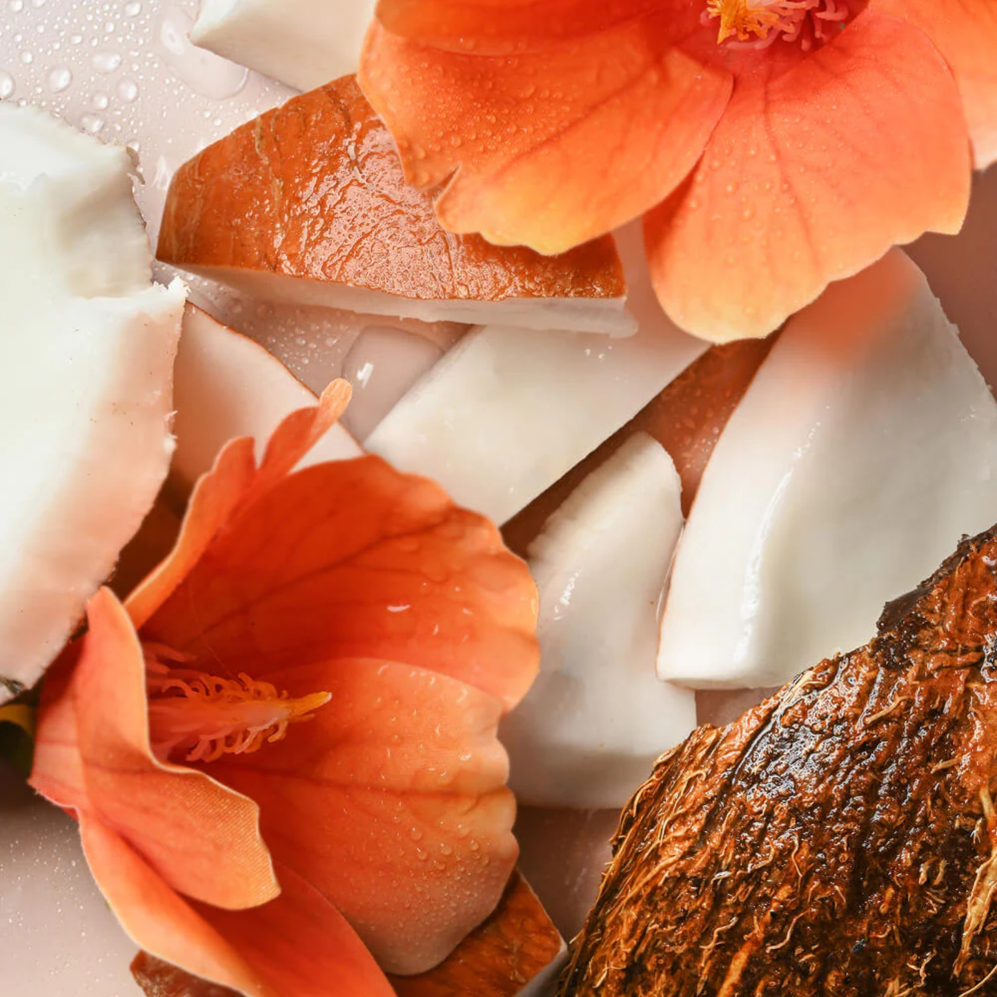 Coconut Waters Body Lotion, 473ml